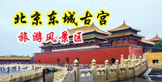 操大逼的女人操大逼的女人中国北京-东城古宫旅游风景区